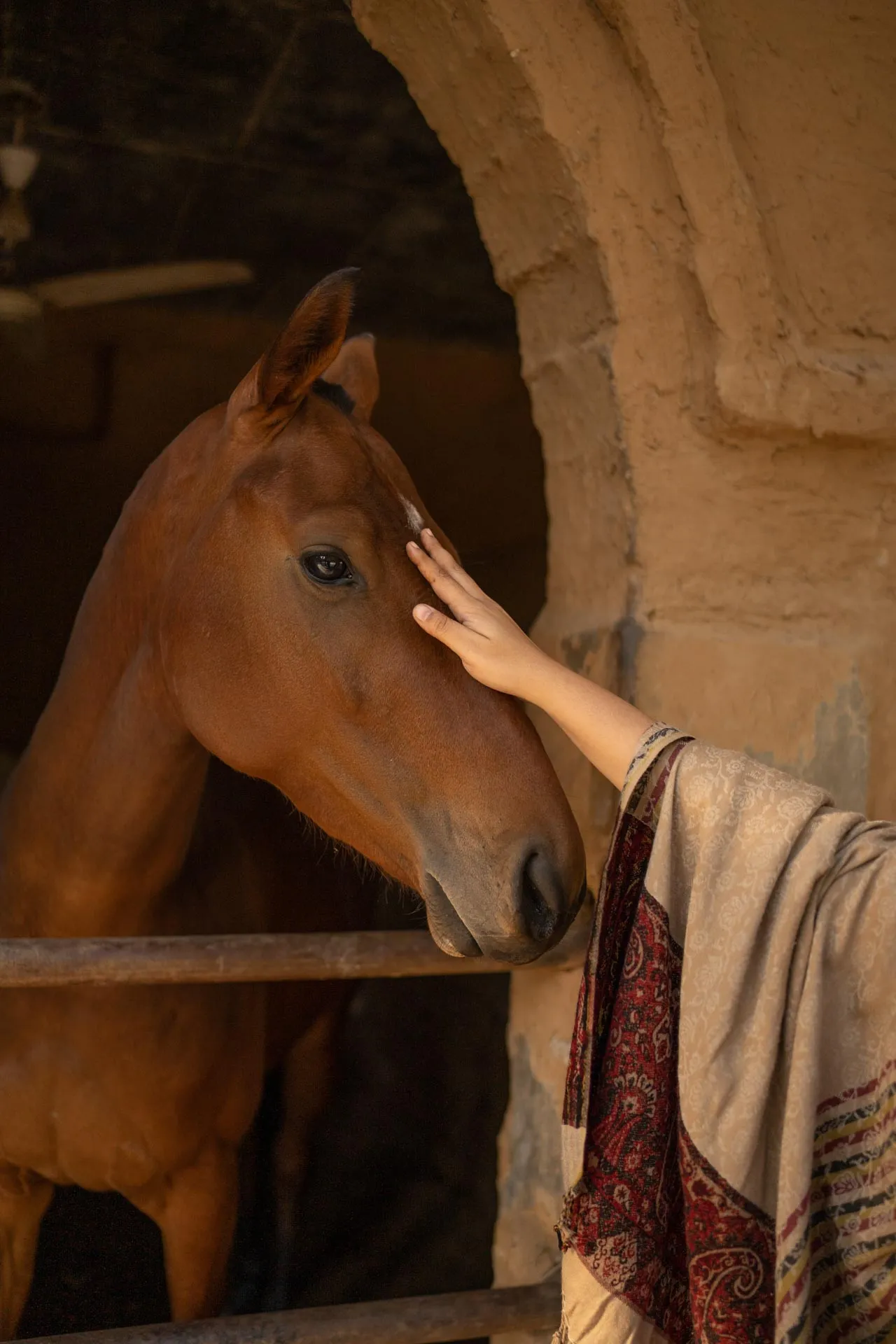 Srinivas – The Royal Residence