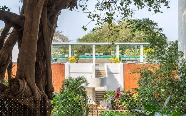 El Arbol – Apartment – 201